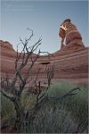 Filename=DAblend1vs2vpweb.jpg
Filesize=171KB
Dimensions=402x602
Date added=Nov 28, 2007 DAblend1vs2vpweb.jpg