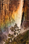 Filename=YoNPfirefalls1vpweb.jpg
Filesize=245KB
Dimensions=402x602
Date added=Nov 28, 2007 YoNPfirefalls1vpweb.jpg