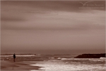 Filename=BBcontemplation1vpweb.jpg
Filesize=117KB
Dimensions=602x402
Date added=Nov 27, 2007 BBcontemplation1vpweb.jpg