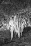 Filename=CCstalactites1vpweb.jpg
Filesize=171KB
Dimensions=402x602
Date added=Nov 26, 2007 CCstalactites1vpweb.jpg