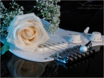 Filename=guitarrose2vpweb.jpg
Filesize=157KB
Dimensions=602x452
Date added=Nov 27, 2007 guitarrose2vpweb.jpg