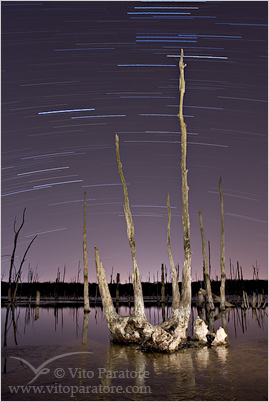 Manasquan Reservoir: Star Trails 4.1